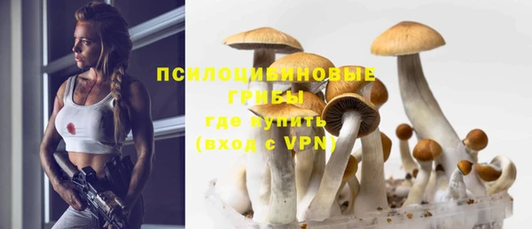 гашиш Арсеньев